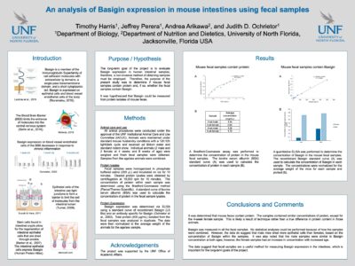 An analysis of Basigin expression in mouse intestines using fecal samples poster image
